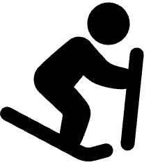 Downhill Skiing Icon from Plump Solid Set