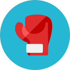 Boxing Gloves Icon from Kameleon Colors Set
