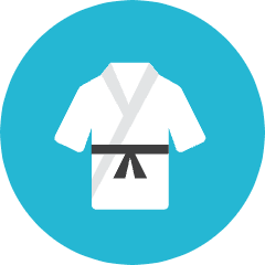 Karate Icon from Kameleon Colors Set