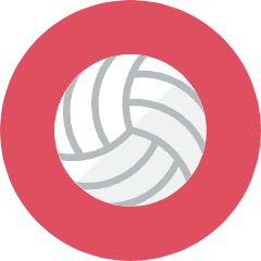 Volleyball Icon from Kameleon Colors Set