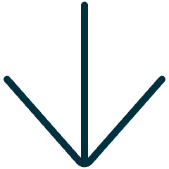Arrow Down Icon from Ultimate Duotone Set