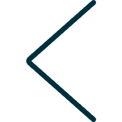 Arrow Left 1 Icon from Ultimate Duotone Set