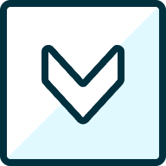 Arrow Rectangle Down 2 Icon from Ultimate Duotone Set