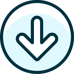 Arrow Thick Circle Down 2 Icon from Ultimate Duotone Set