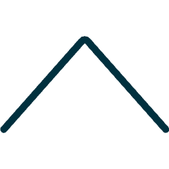 Arrow Up 1 Icon from Ultimate Duotone Set