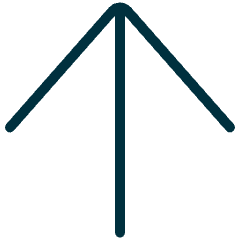 Arrow Up Icon from Ultimate Duotone Set
