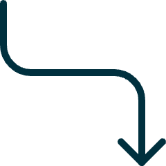 Diagram Curve Down Icon from Ultimate Duotone Set