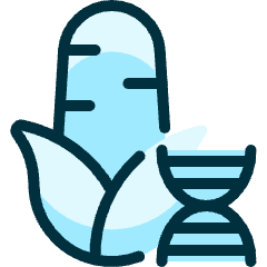 Gmo Food Corn Dna Icon from Ultimate Duotone Set