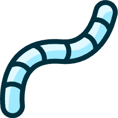 Organic Worm Icon from Ultimate Duotone Set