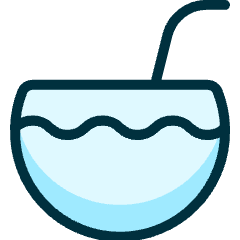 Soft Drinks Coconut Icon from Ultimate Duotone Set