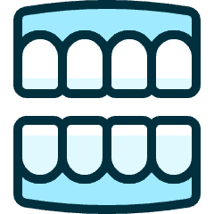 Dentistry Tooth Jaws Icon from Ultimate Duotone Set