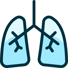 Medical Specialty Lungs Icon from Ultimate Duotone Set