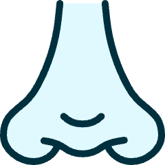 Medical Specialty Nose Icon from Ultimate Duotone Set