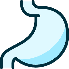 Medical Specialty Stomach Icon from Ultimate Duotone Set