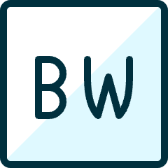 Light Mode Bw Icon from Ultimate Duotone Set