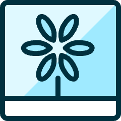 Picture Flower Icon from Ultimate Duotone Set