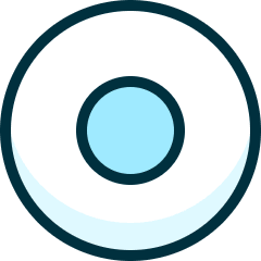 Button Record 1 Icon from Ultimate Duotone Set