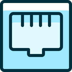 Ethernet Port Icon from Ultimate Duotone Set