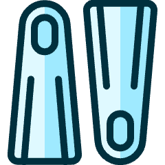 Diving Fins Icon from Ultimate Duotone Set