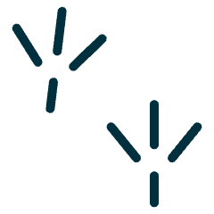 Animal Print Bird 1 Icon from Ultimate Duotone Set