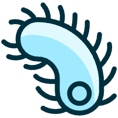 Insect Centipede 1 Icon from Ultimate Duotone Set