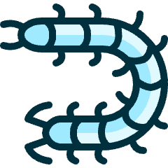 Insect Centipede Icon from Ultimate Duotone Set