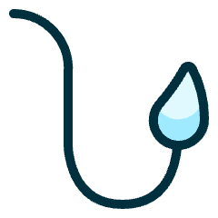 Lion Tail Icon from Ultimate Duotone Set