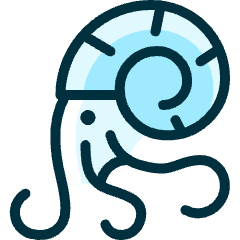 Squid Shell Icon from Ultimate Duotone Set