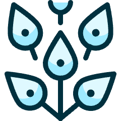 Peacock Feathers Icon from Ultimate Duotone Set
