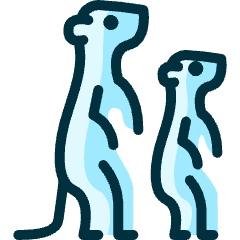 Meerkat Icon from Ultimate Duotone Set
