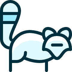 Raccoon Icon from Ultimate Duotone Set