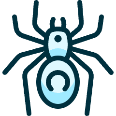 Spider Icon from Ultimate Duotone Set