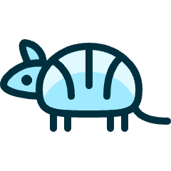 Armadillo Icon from Ultimate Duotone Set