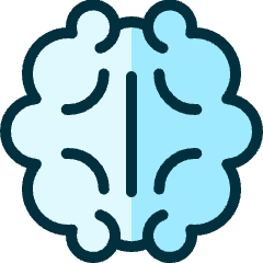 Study Brain Icon from Ultimate Duotone Set