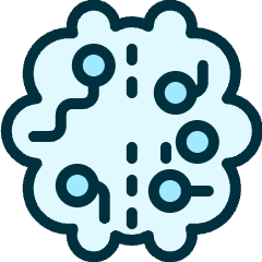 Brain Icon from Ultimate Duotone Set