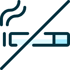 Allowances No Smoking Icon from Ultimate Duotone Set