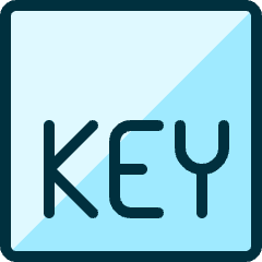 File Key 1 Icon from Ultimate Duotone Set