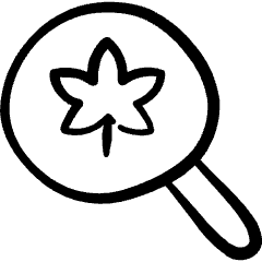 Cannabis Search Find Icon from Freehand Set