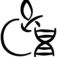 Gmo Food Apple Dna Icon from Freehand Set