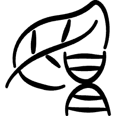 Gmo Food Leaf Dna Icon from Freehand Set