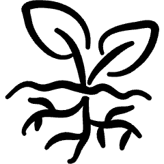 Organic Plant Root Icon from Freehand Set