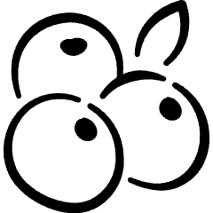 Fruit Bilberry Blueberry Blackcurrant Icon from Freehand Set