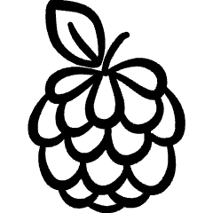 Fruit Blackberry Icon from Freehand Set