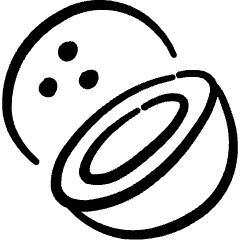 Fruit Coconut  1 Icon from Freehand Set