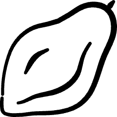 Fruit Papaya Icon from Freehand Set