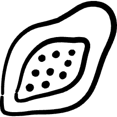 Fruit Papaya Slice Icon from Freehand Set