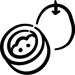 Fruit Passionfruit Icon from Freehand Set