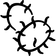 Fruit Rambutans Icon from Freehand Set