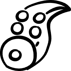 Seafood Octopus Icon from Freehand Set