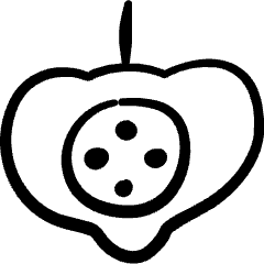 Vegetable Acorn Squash 1 Icon from Freehand Set